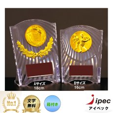 画像1: 【20%OFF】表彰楯 (1)